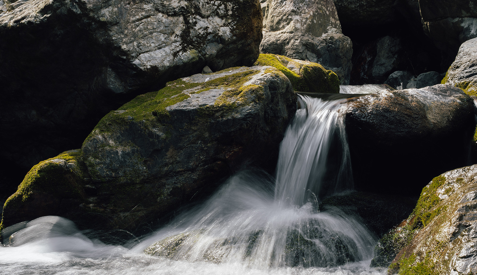 この商品が選ばれる理由